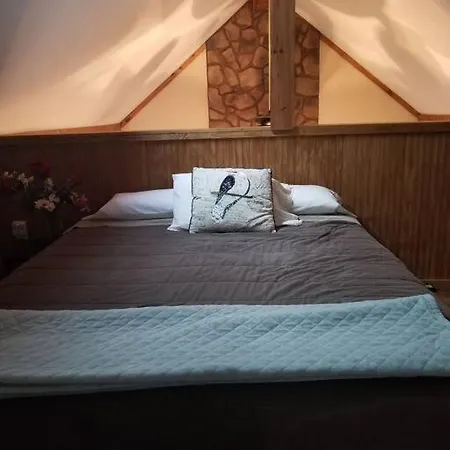 Our Private Wooded Cabin Chatham Exterior foto