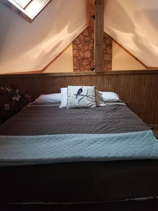 Our Private Wooded Holiday home Chatham