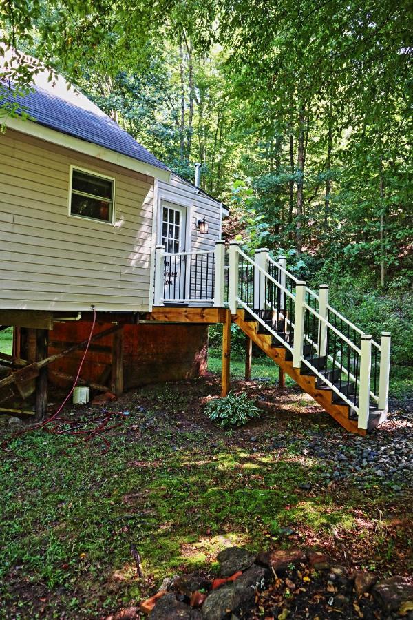 Our Private Wooded